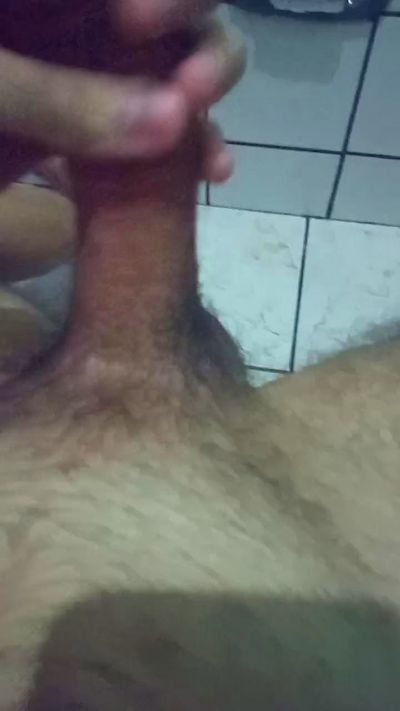 gato_de_boa from Brazil